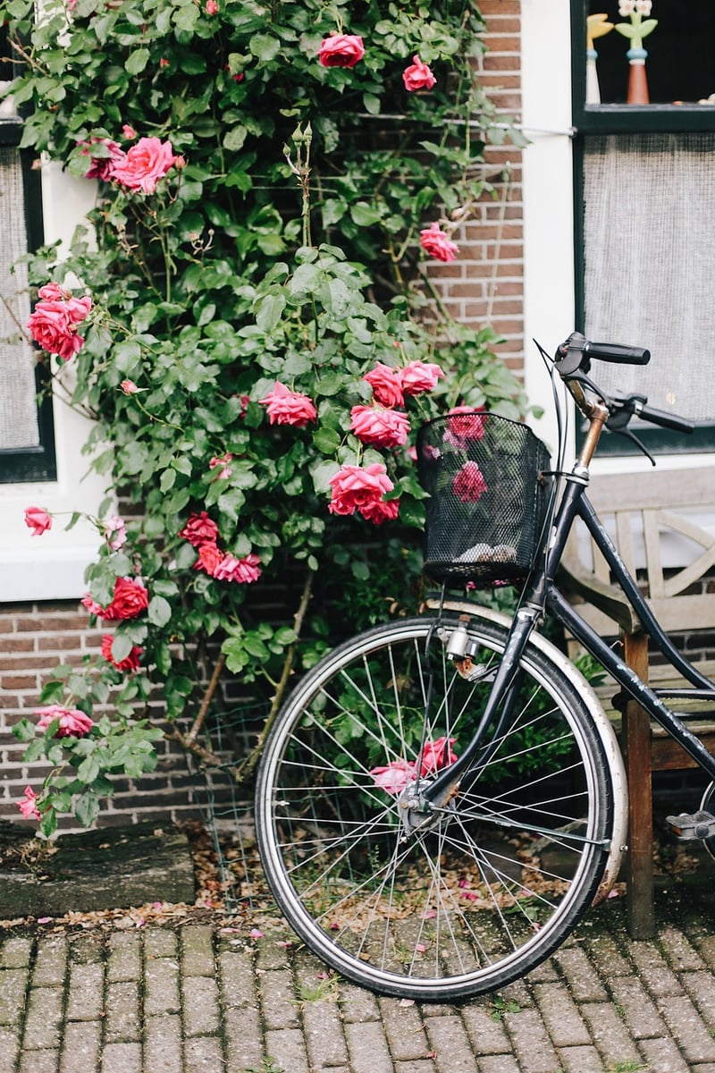 Urban Jungle Vibes